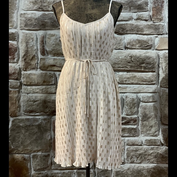 Express Dresses & Skirts - NWOT Express- Metallic Pleated Mini Dress, Size M